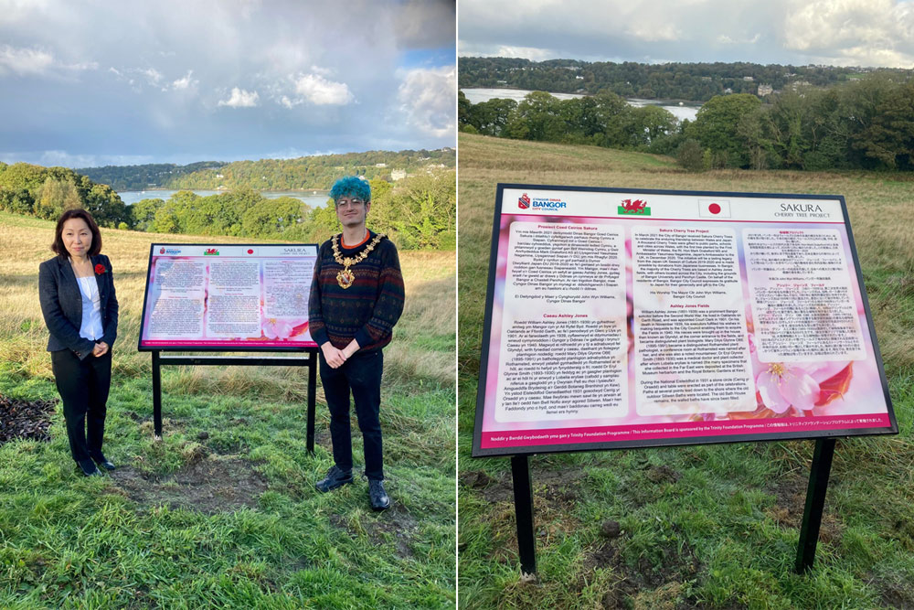 Unveiling of Ashley Jones Fields Information Board